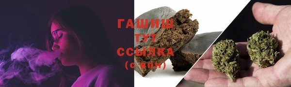 стаф Богородицк