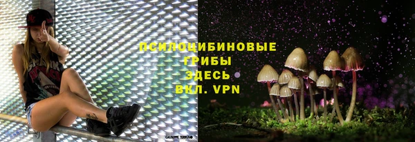 прущие грибы Бугульма