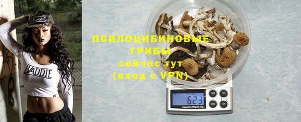 прущие грибы Бугульма